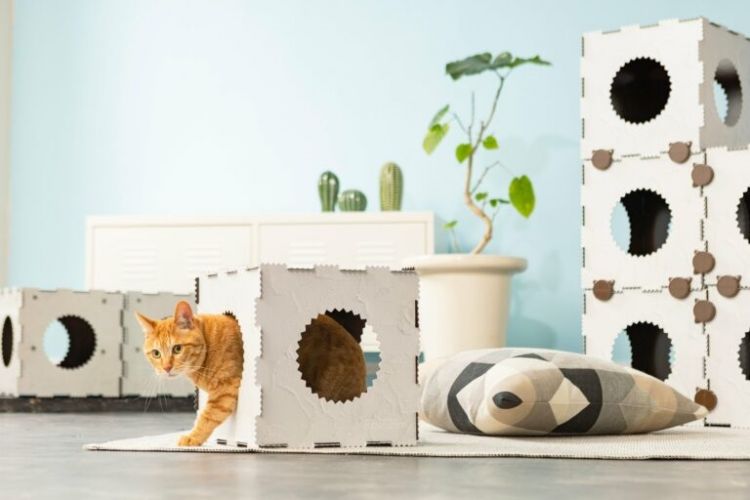 đồ chơi cho hoàng thượng